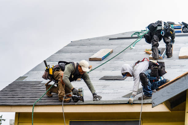 Professional Gutter Installation technician working in Lima, MT
